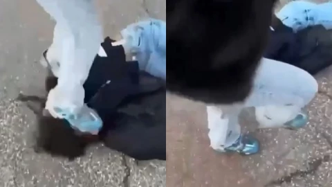 Adolescente agredida Francia