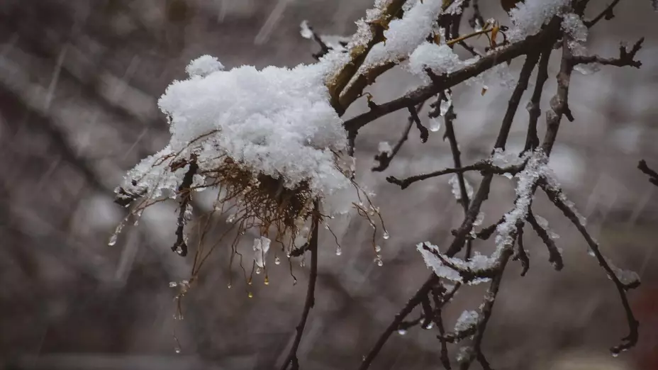 Clima en Morelos hoy