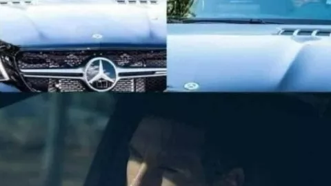 WhatsApp Image 2024-02-20 at 3.57.03 PM.jpeg