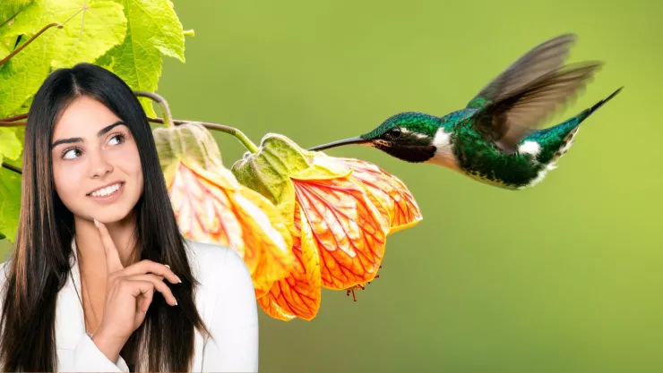 No, no es un familiar fallecido: esto es lo que realmente significa que un colibrí llegue a tu casa, según el Feng Shui
