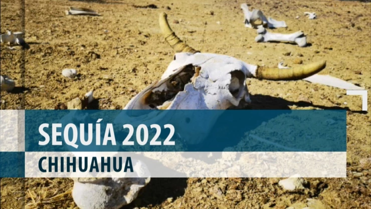 ¡Sequía 2022! Nueve meses sin lluvia en Chihuahua
