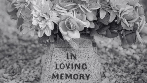 Muere querida tiktoker a los 22 años; su hermana gemela la despide con desgarrador mensaje