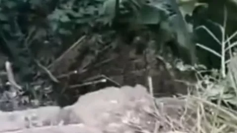 Graban presunta bruja en Catemaco