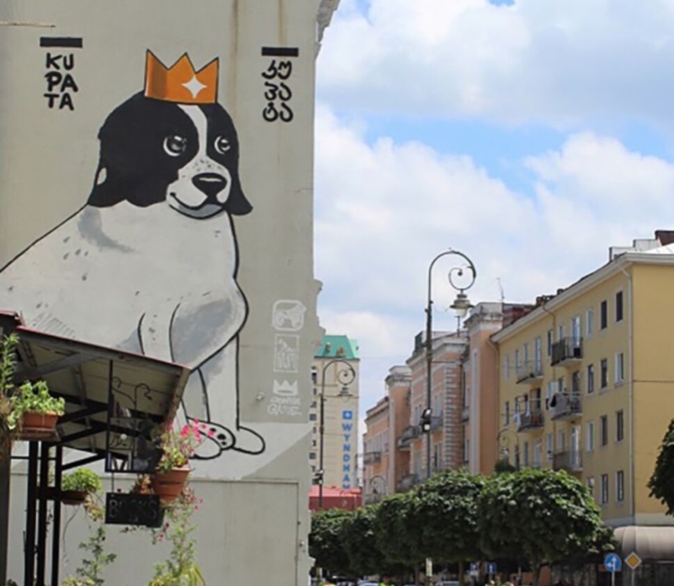 perrito calle niños