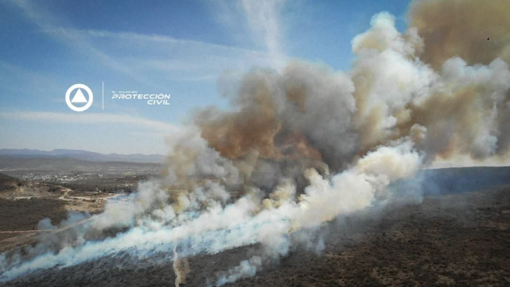 WhatsApp Image 2025-04-15 at 3.42.35 PM.jpeg