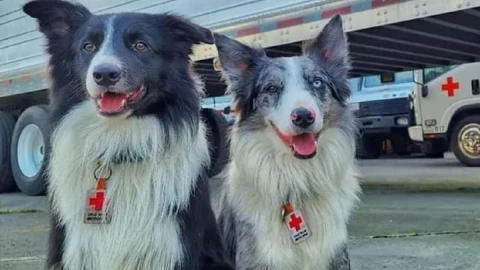 Balam y Orly, hijos de Athos