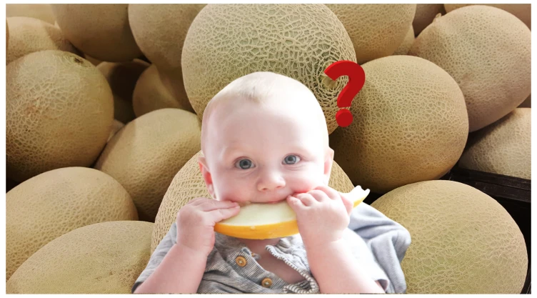 melon significado