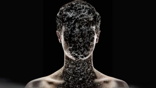  ¿Cómo son las neuronas? 