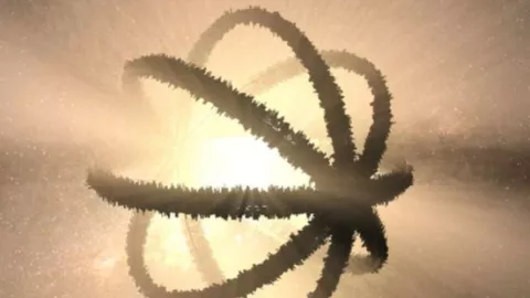 Maussan esferas Dyson