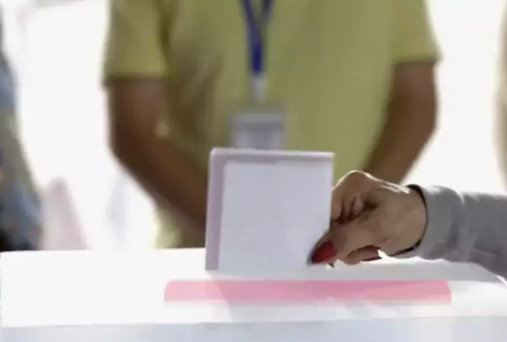 observador electoral Morena.