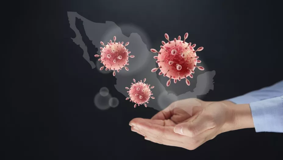¿Metapneumovirus humano HMPV está en México? Secretaría de Salud responde