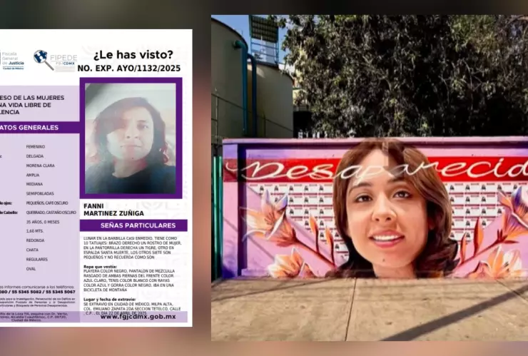 fanny martinez zuñiga desaparecida.jpg
