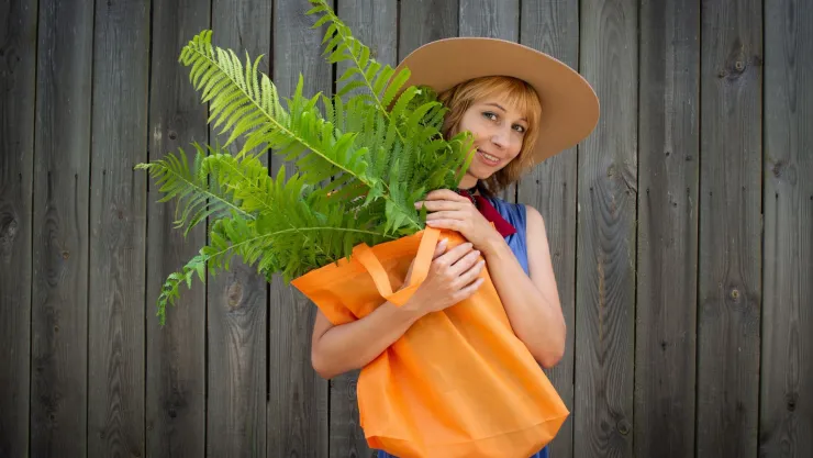 planta