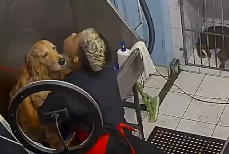 El VIDEO de un joven trabajador que le CANTA a un perrito mientras le canta en la veterinaria