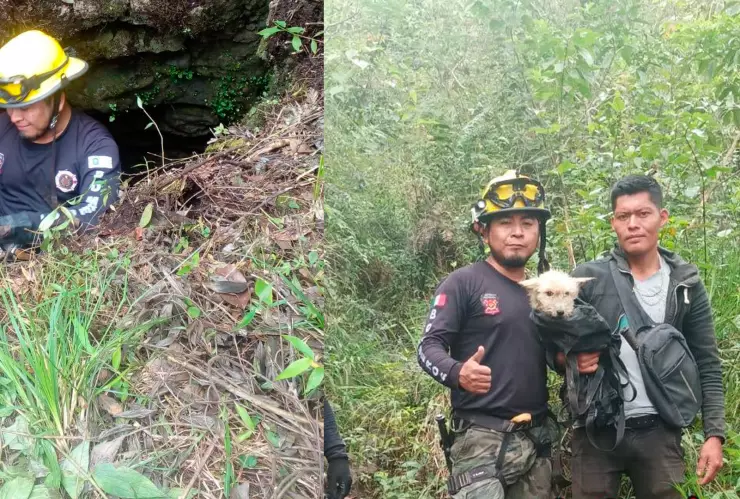 Mariposita perrita Chiapas