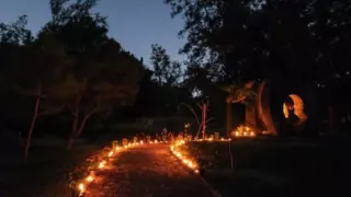 Último recorrido nocturno Bosque Colomos 2025 Fecha, hora y cómo inscribirse