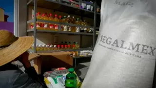 Impunidad en la 4T: el caso Segalmex y los millones que desaparecieron