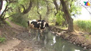contaminacion en Hidalgo