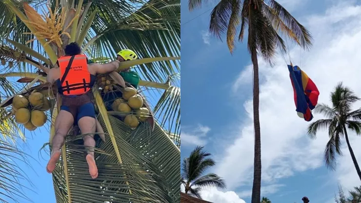 ¡A 8 metros de altura! Paracaidista queda atrapado en una palmera en Bahía Banderas