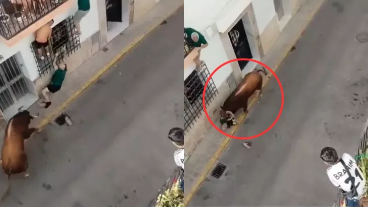 Fuerte VIDEO | Toro ataca y perfora brutalmente a un hombre en plena vía pública; así fue captado