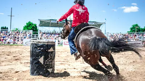 Feria de la Flor Cuernavaca 2025