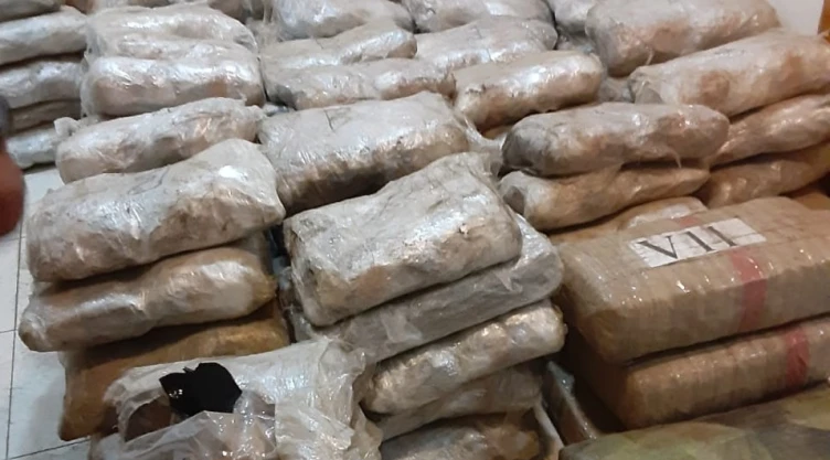 aseguran droga en ensenada.jpg