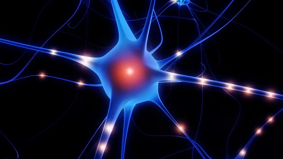 parkinson