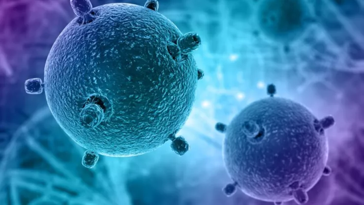 casos de la Bacteria Klebsiella oxytoca en querétaro.jpg