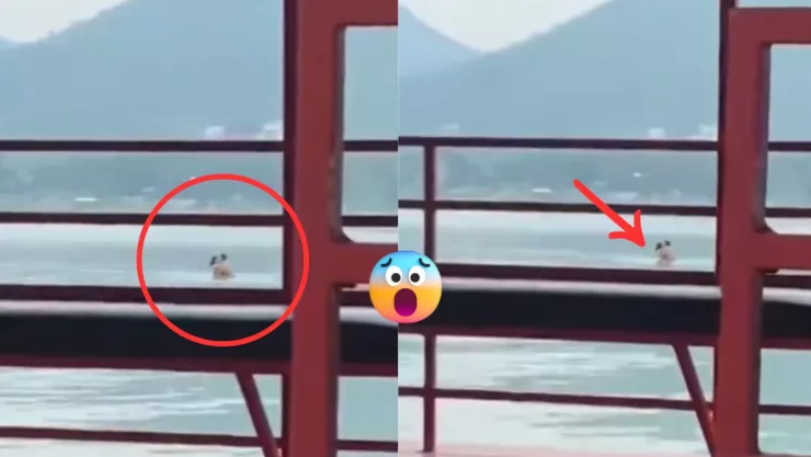 PAREJA EN LAGO NUEVO LEÓN