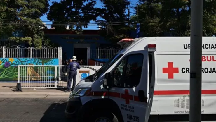 Abejas atacan secundaria en Culiacán, ¿qué se sabe?