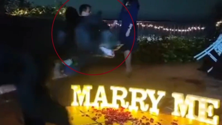 oso interrumpe propuesta matrimonio