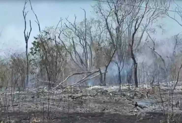 VIDEO_ Fuertes incendios afectan a agricultores de Tixkokob