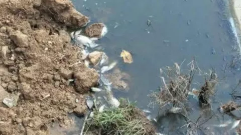 crisis ambiental en el sur de Veracruz