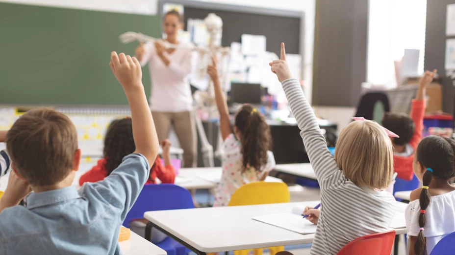 Rear view of kids raising hands while teacher explaining the fun