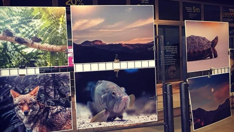 Biodiversidad mexicana