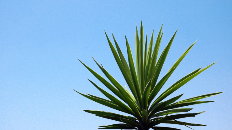 clima hoy ciudad juárez