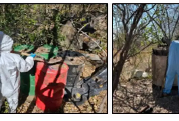 Laboratorios clandestinos en Sinaloa