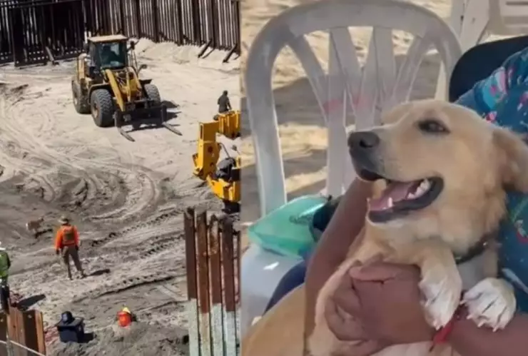 VIDEO: ¡Deportado! Así fue la travesía del perro que cruzó de Tijuana a EUA