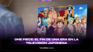 One Piece 16.9.png