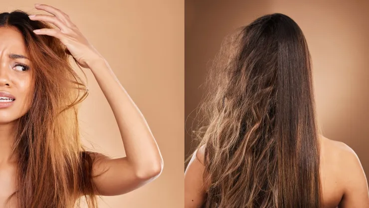 frizz humedad cabello