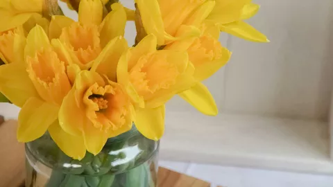 Flores amarillas: ¿Qué frases enviar por WhatsApp y mensaje si regalo flores?