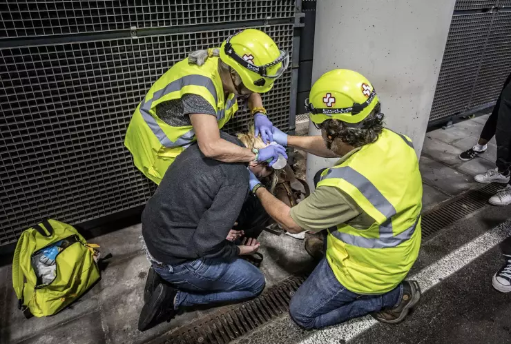 _MG_9823-1 copia.jpg