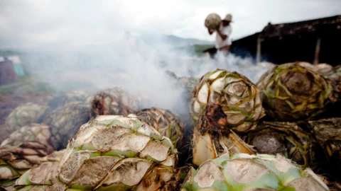 El mezcal se elabora de manera artesanal / Foto: Especial