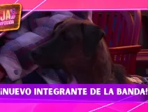 Tlacoyo se une a la banda de Julio y Bicolor