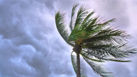 Huracanes 2025_ ¿Por qué el Mar de Guerrero alcanza temperaturas tan altas como en _Otis