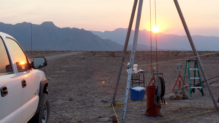 Candidatus Desulforudis audaxviator.png