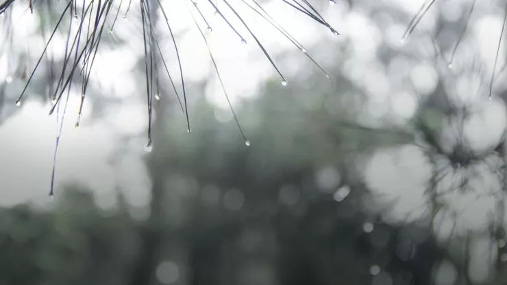 Noche de lluvias en Yahualica; este es el pronóstico del clima hoy 27 de agosto