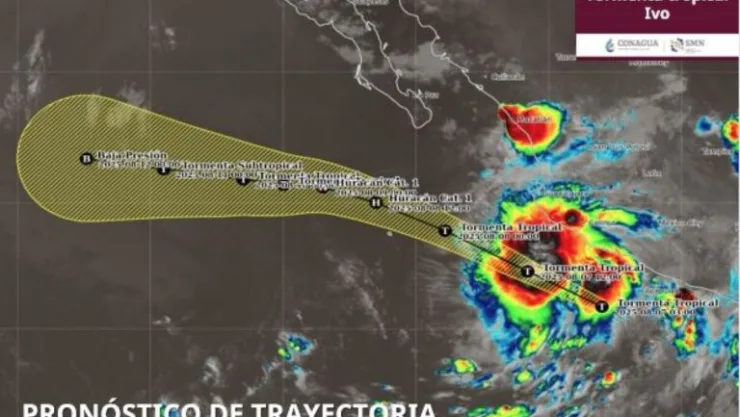 ivo tropical.jpeg