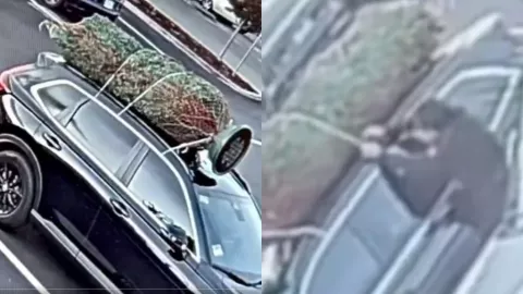 roba arbolito de navidad