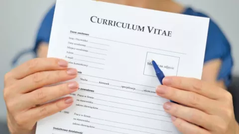 ¿En busca de chamba Harvard revela cómo hacer el CV perfecto